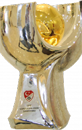 Turkish Super Cup